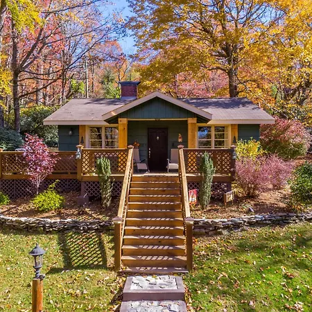 Bear Bungalow